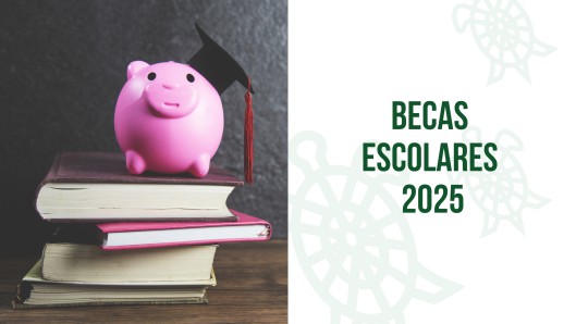 Galapagar revela lista provisional de becas escolares admitidos y excluidos