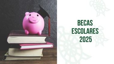 Galapagar revela lista provisional de becas escolares admitidos y excluidos