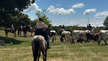 Galapagar celebra sus primeras Jornadas de Arte y Cultura Ganadera
