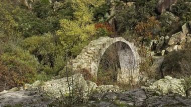 Galapagar debuta en Fitur 2026 con su primera participación oficial