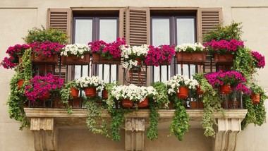 Galapagar celebra el VIII Certamen de Balcones y Rincones Floridos con música y talleres