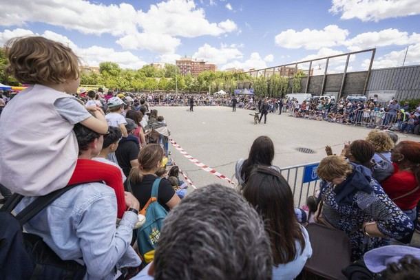 Fiesta familiar en Madrid Río por el Día de las Familias
