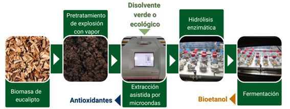 Avances en biocombustibles sostenibles impulsan la descarbonización