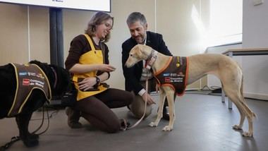 Más de 150 menores en Madrid reciben apoyo emocional de perros en juzgados en 2025