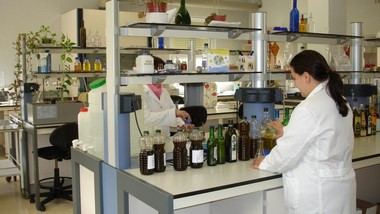 Madrid impulsa la investigación en nutrición personalizada para deportistas y pacientes oncológicos