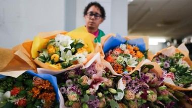 Madrid alcanza un récord en creación de empresas en 2025