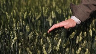 La Comunidad de Madrid lanza premios anuales para iniciativas ambientales destacadas