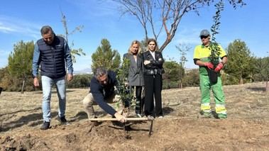 Madrid entrega 25.000 plantas autóctonas para reforestar municipios