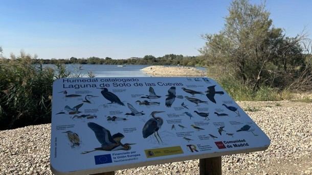 Finaliza la restauración de la Laguna de Soto de las Cuevas en Madrid
