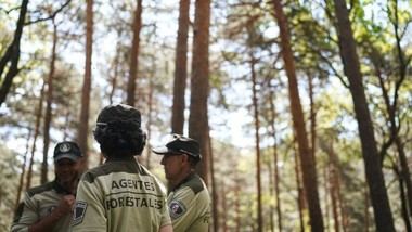 Madrid suma 91 nuevos agentes forestales para reforzar su equipo