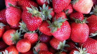 La Comunidad de Madrid añade nuevos productos a sus sellos de calidad