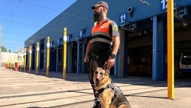 Madrid destina 5,2 millones para mejorar vigilancia canina en depósitos de Metro