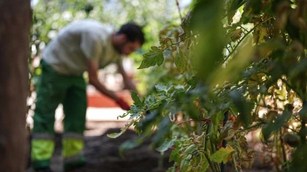 Madrid destina 58 millones a la atención de menores infractores en centros especializados