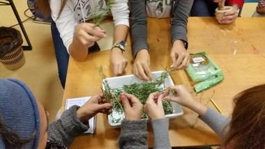 Madrid ofrece 200 actividades gratuitas de verano para cuidar la biodiversidad