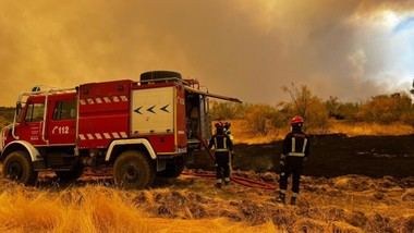 Madrid destina 300.000 kilos de forraje para ganaderos afectados por incendios