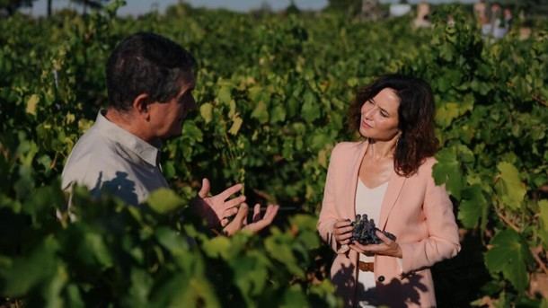 Madrid relanza la marca de vino Encinero y crea un blanco exclusivo con uvas autóctonas