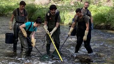 Madrid rescata 391 barbos comunes del arroyo de Valdezate