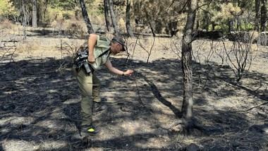Madrid se presenta como acusación particular en caso de incendio forestal que devastó 200 hectáreas