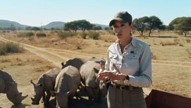 Veterinaria española combate el furtivismo que acecha a los rinocerontes en África