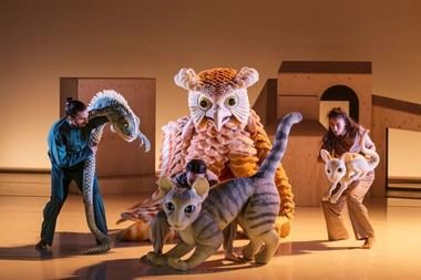 Espectáculo de danza y marionetas en Moralzarzal: 'La gata que quería cambiar la historia'