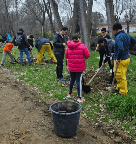 Estudiantes de Soto del Real participan en plantación de árboles para promover la educación ambiental