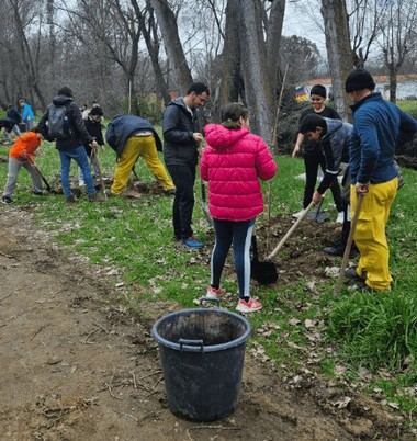 Estudiantes de Soto del Real participan en plantación de árboles para promover la educación ambiental