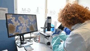 La sanidad pública de Madrid celebra la Semana de la Ciencia con más de 80 actividades educativas