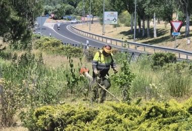 Desbroce y limpieza de vegetación para evitar incendios en Villanueva de la Cañada