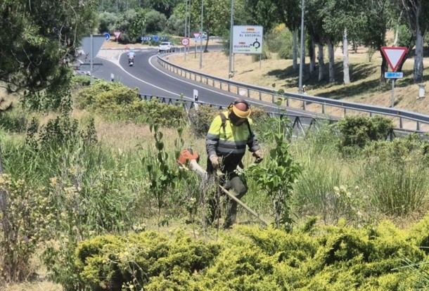 Desbroce y limpieza de vegetación para evitar incendios en Villanueva de la Cañada