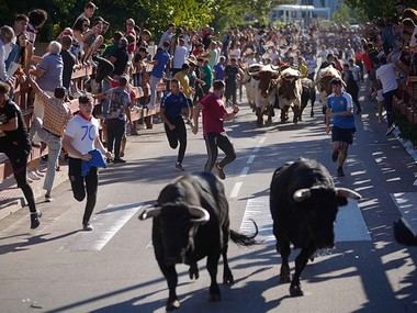 Fiestas de San Miguel: música y actividades familiares este octubre