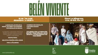 Ovejas regresan a La Milagrosa para el belén viviente este domingo