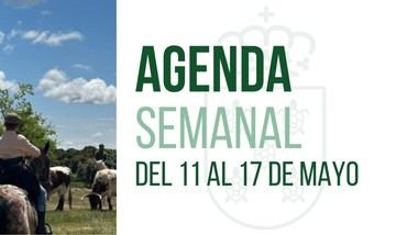 Agenda cultural en Galapagar: Premios San Isidro y Fiesta de la Trashumancia
