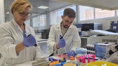Investigadores del Hospital 12 de Octubre lanzan startup para diagnóstico avanzado de cáncer de vejiga