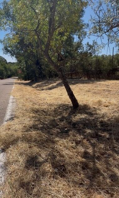 Valdemorillo implementa medidas para prevenir incendios