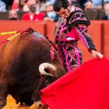 Morante de la Puebla tomará el lugar de Manzanares en la corrida del 5 de abril en Moralzarzal