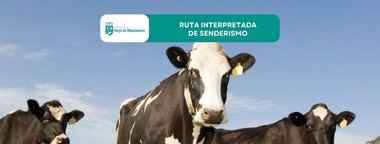 Ruta de senderismo sobre trashumancia en Hoyo de Manzanares el 12 de abril