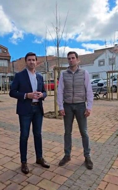 Renovación del arbolado en la Plaza de las Nieves de Valdemorillo
