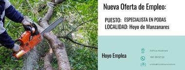 Empleo disponible en Hoyo de Manzanares