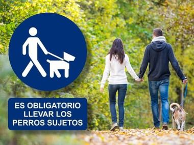 Nueva normativa sobre la tenencia de mascotas en Collado Mediano
