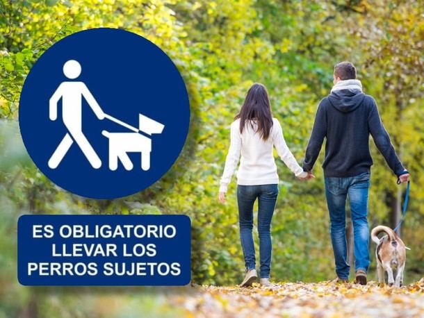 Nueva normativa sobre la tenencia de mascotas en Collado Mediano