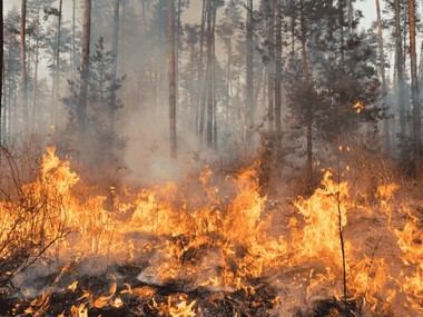 Llamado a la ciudadanía para prevenir incendios ante ola de calor