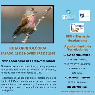 Descubre la fauna local en la ruta ornitológica de Torrelodones