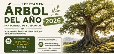 San Lorenzo de El Escorial lanza concurso para elegir su 'Árbol del Año' 2026
