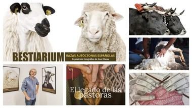 San Lorenzo celebra el mundo rural con un fin de semana de actividades culturales
