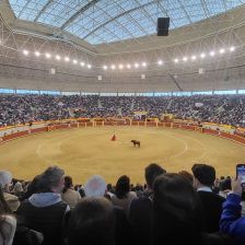 Éxito rotundo en la Corrida de Toros XX Aniversario de Moralzarzal