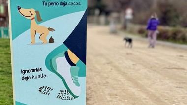 Galapagar usará drones para controlar y multar a dueños de perros que no recojan excrementos