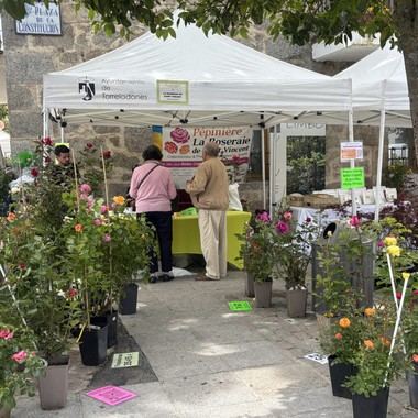 Fiesta de San Isidro y Feria de Plantas en Torrelodones