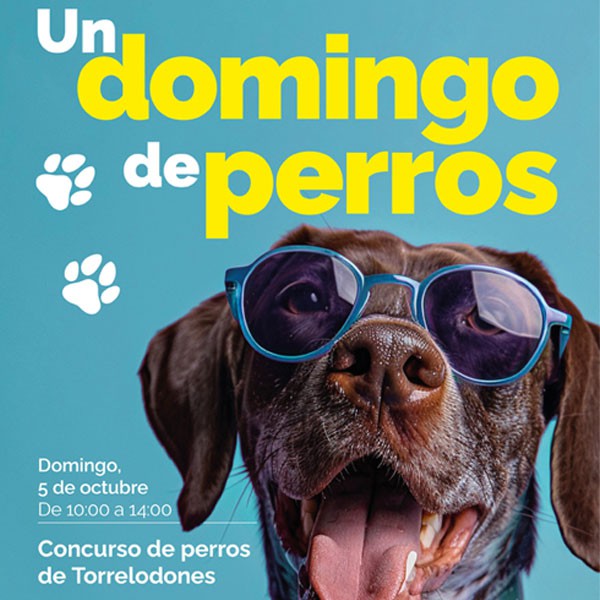 Concurso de perros en Torrelodones: busca al más guapo, simpático y obediente