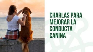 Galapagar lanza charlas para educar a dueños sobre el comportamiento canino