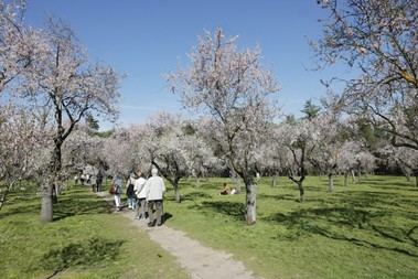 Regresan las rutas teatrales a La Quinta de los Molinos en San Blas-Canillejas